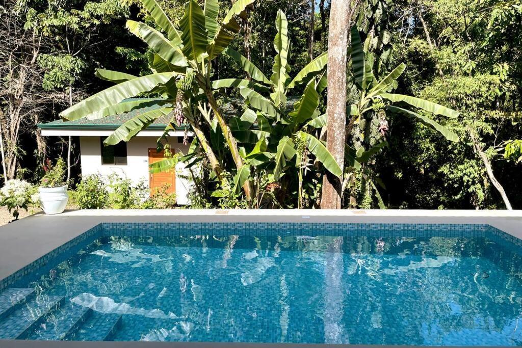 An Abundance Of Wildlife At Jungle Glory Home Abajo Manuel Antonio Exteriér fotografie