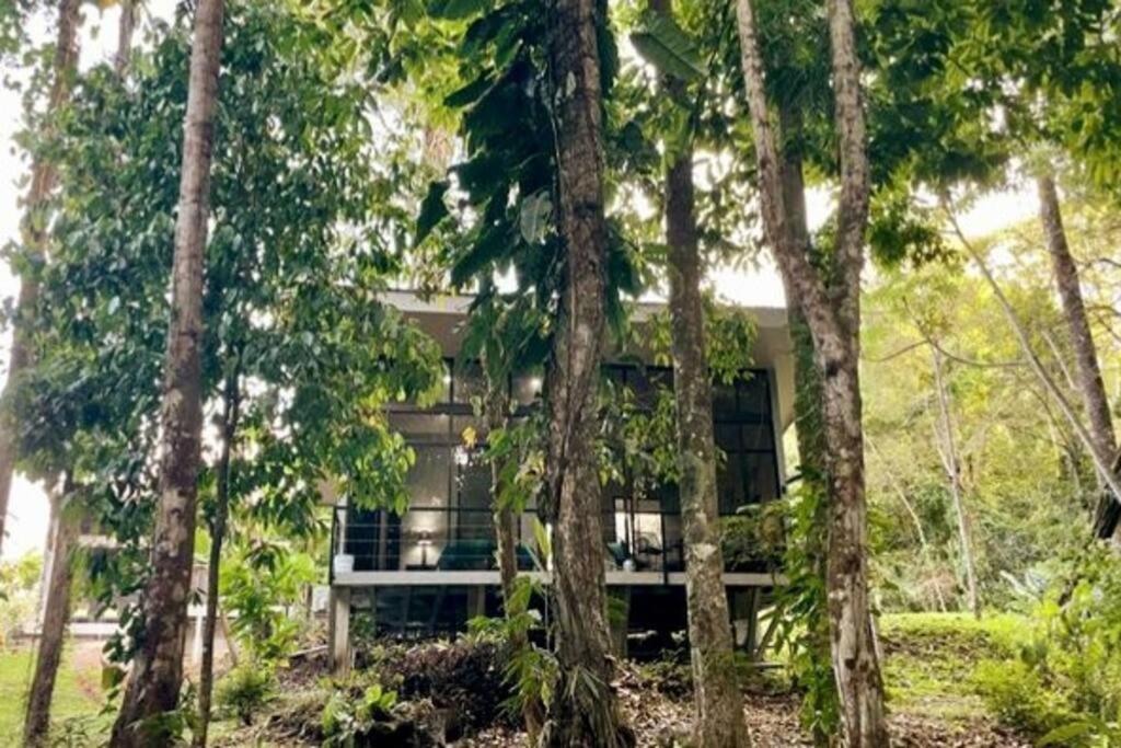 An Abundance Of Wildlife At Jungle Glory Home Abajo Manuel Antonio Exteriér fotografie