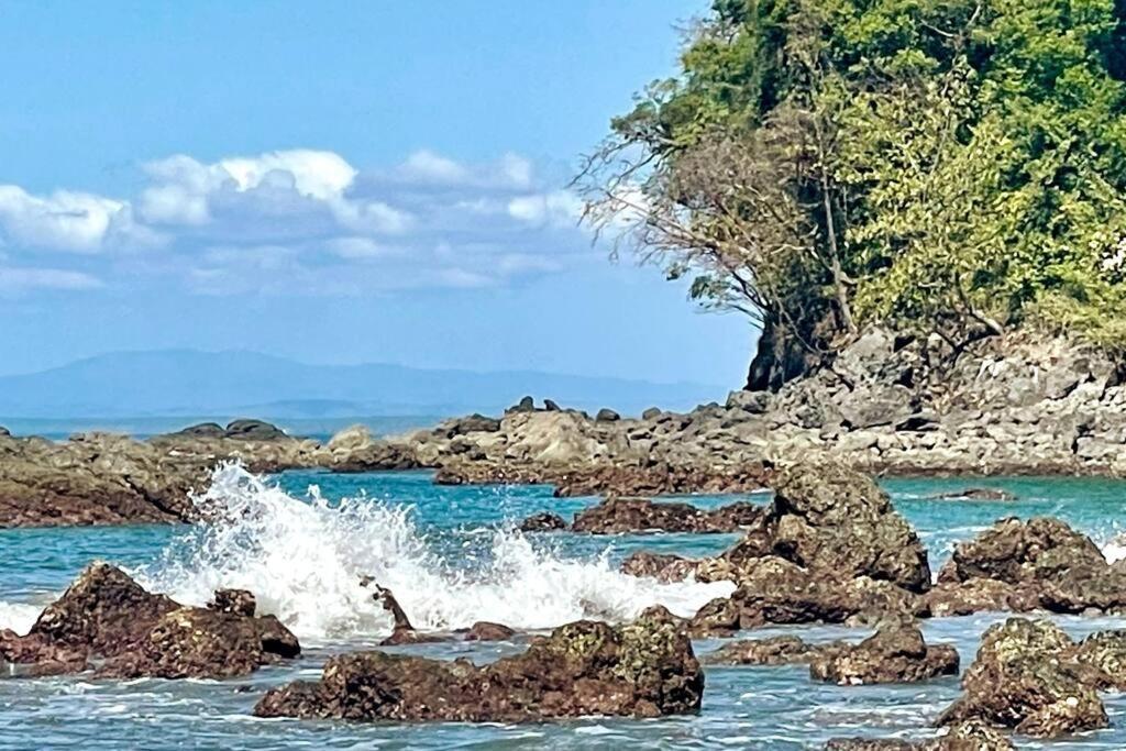 An Abundance Of Wildlife At Jungle Glory Home Abajo Manuel Antonio Exteriér fotografie