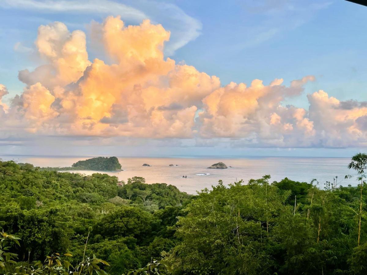 An Abundance Of Wildlife At Jungle Glory Home Abajo Manuel Antonio Exteriér fotografie
