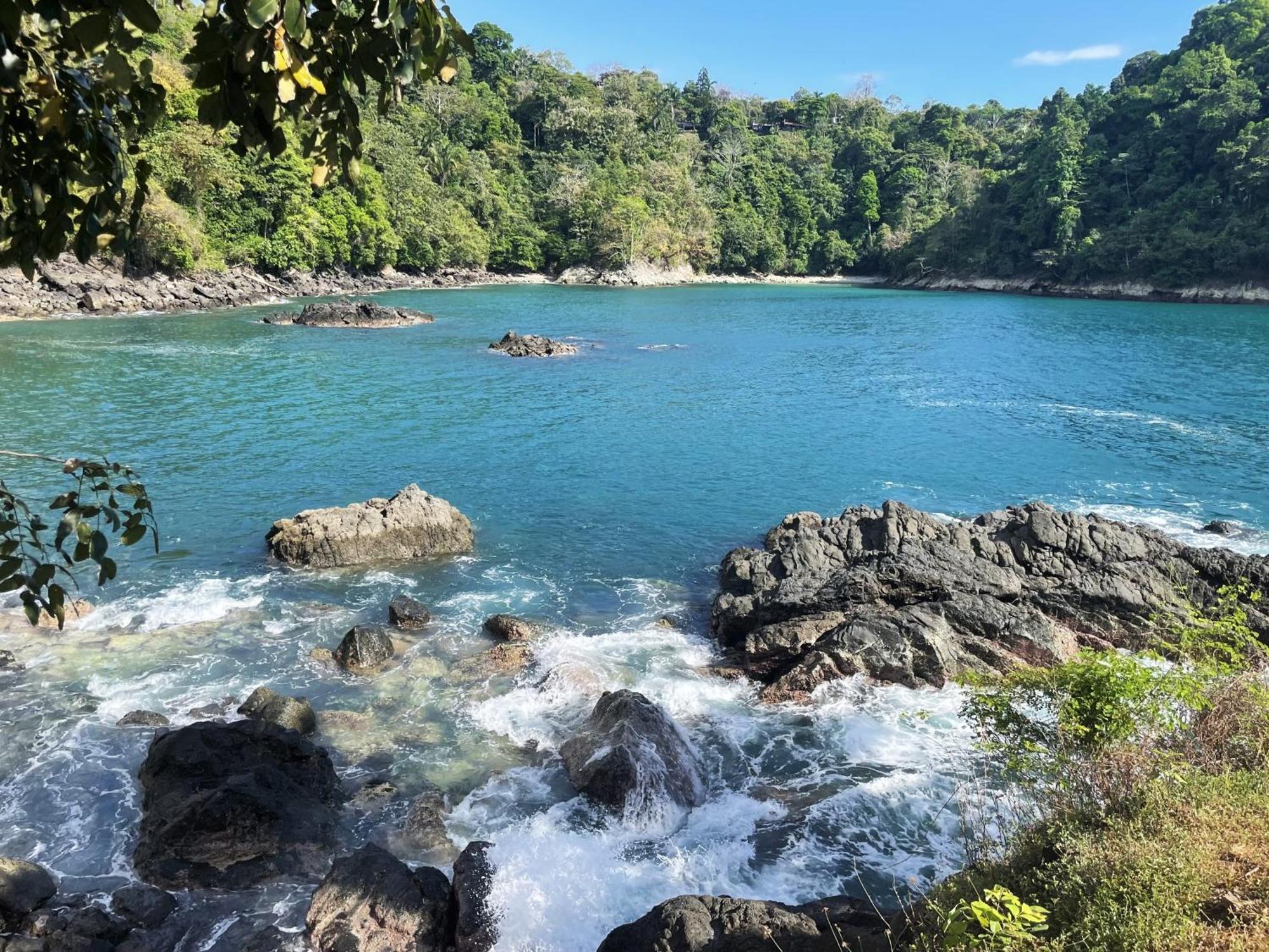 An Abundance Of Wildlife At Jungle Glory Home Abajo Manuel Antonio Exteriér fotografie